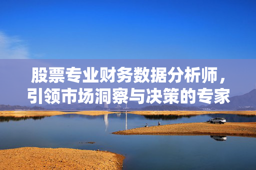 股票专业财务数据分析师，引领市场洞察与决策的专家 工作内容揭秘