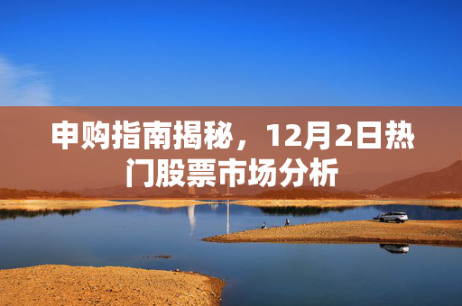 申购指南揭秘，12月2日热门股票市场分析