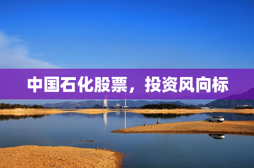 中国石化股票，投资风向标