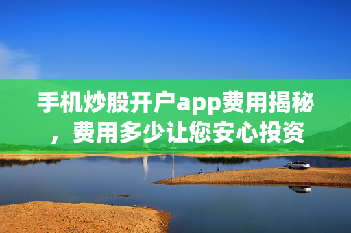 费用揭秘
