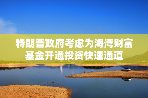 特朗普政府考虑为海湾财富基金开通投资快速通道