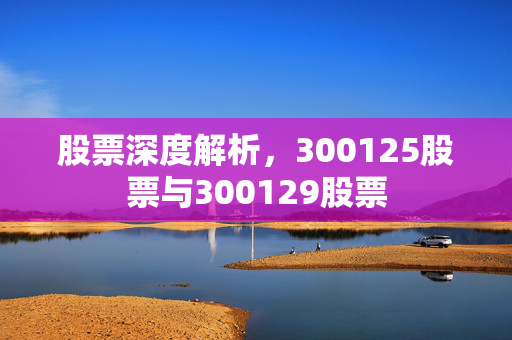股票深度解析，300125股票与300129股票
