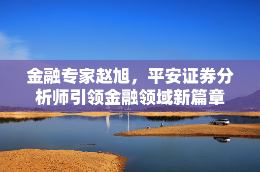 金融专家赵旭，平安证券分析师引领金融领域新篇章