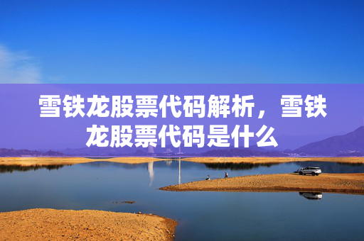 雪铁龙股票代码解析，雪铁龙股票代码是什么