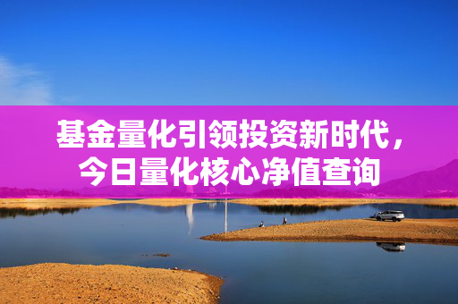 基金量化引领投资新时代，今日量化核心净值查询