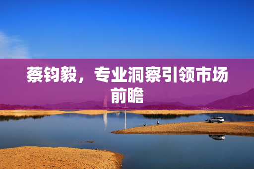蔡钧毅，专业洞察引领市场前瞻