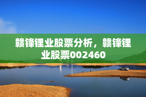 赣锋锂业股票分析，赣锋锂业股票002460