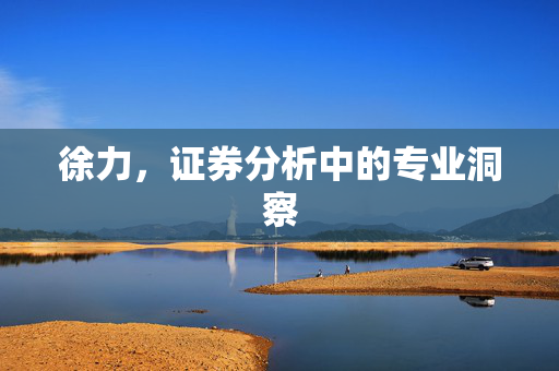 徐力，证券分析中的专业洞察