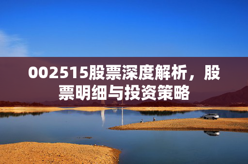 002515股票深度解析，股票明细与投资策略