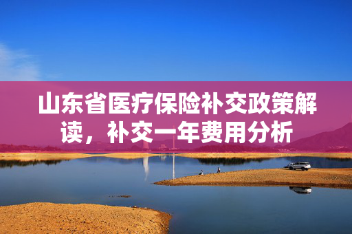 山东省医疗保险补交政策解读，补交一年费用分析