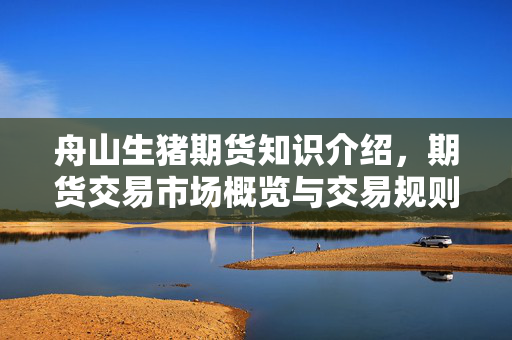 舟山生猪期货知识介绍，期货交易市场概览与交易规则