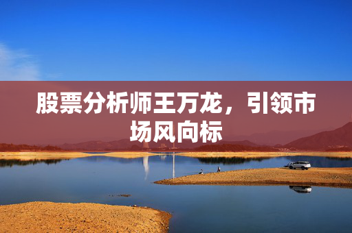 股票分析师王万龙，引领市场风向标