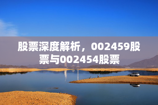 股票深度解析，002459股票与002454股票