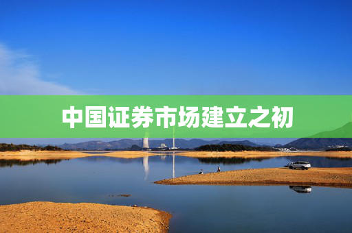 中国证券市场建立之初
