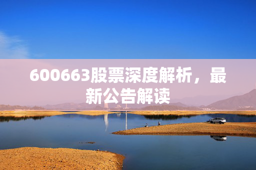 600663股票深度解析，最新公告解读