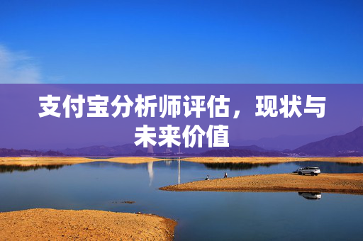 支付宝分析师评估，现状与未来价值