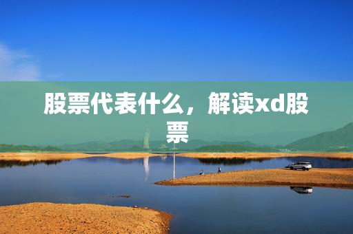 股票代表什么，解读xd股票