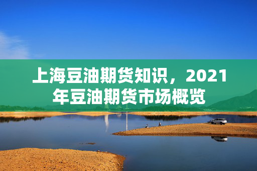 市场概览