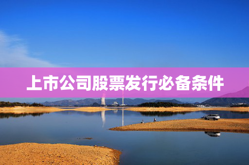上市公司股票发行必备条件