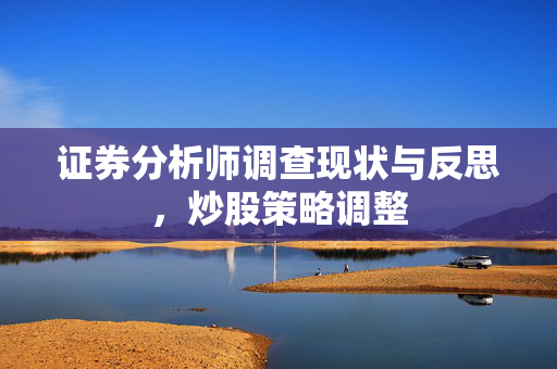 证券分析师调查现状与反思，炒股策略调整