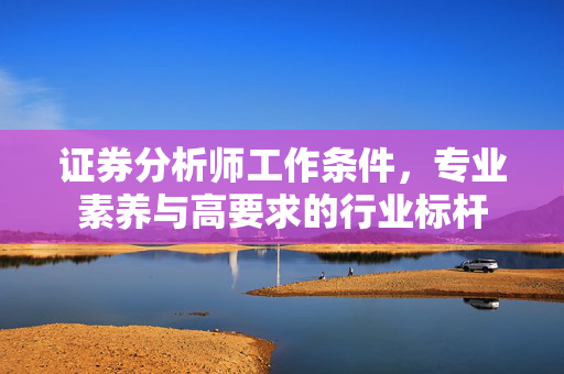 证券分析师工作条件，专业素养与高要求的行业标杆
