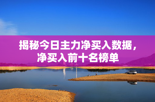 揭秘今日主力净买入数据，净买入前十名榜单