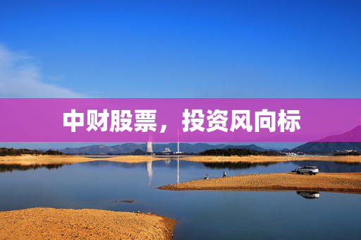 中财股票，投资风向标