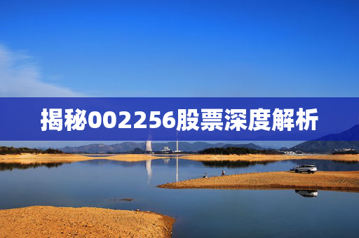 揭秘002256股票深度解析