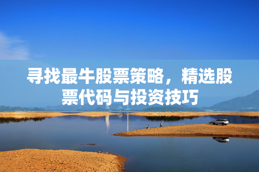 寻找最牛股票策略，精选股票代码与投资技巧