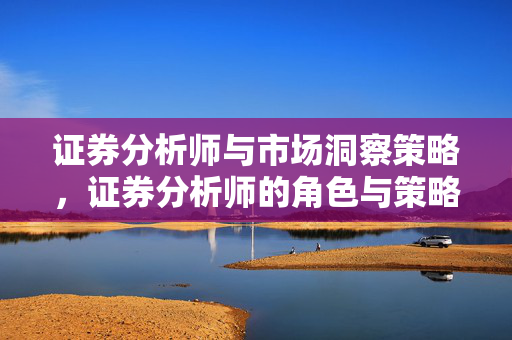 证券分析师与市场洞察策略，证券分析师的角色与策略