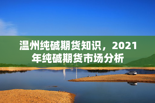 温州纯碱期货知识，2021年纯碱期货市场分析