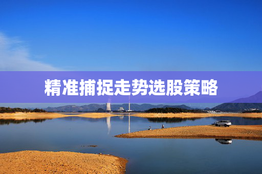 精准捕捉走势选股策略