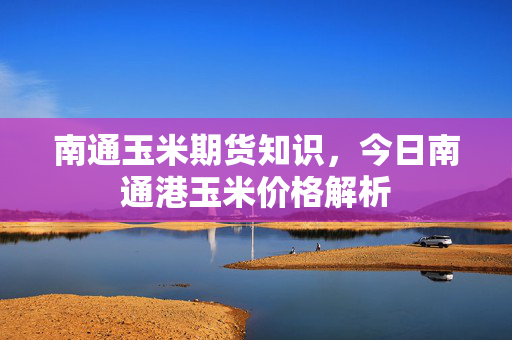 南通玉米期货知识，今日南通港玉米价格解析