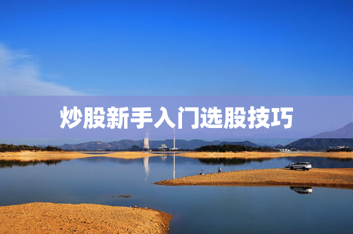 炒股新手入门选股技巧