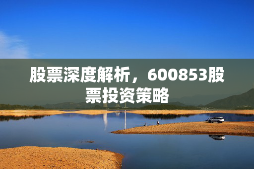 股票深度解析，600853股票投资策略