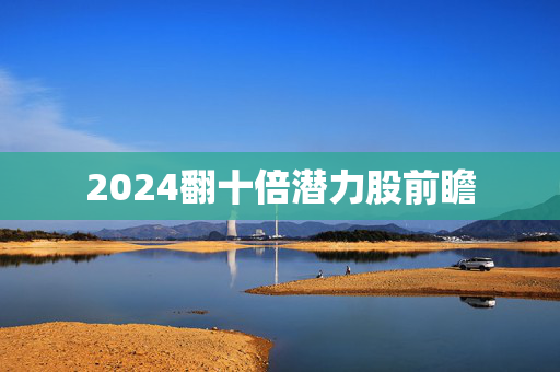 2024翻十倍潜力股前瞻