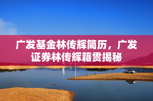 广发基金林传辉简历，广发证券林传辉籍贯揭秘