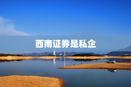 西南证券是私企