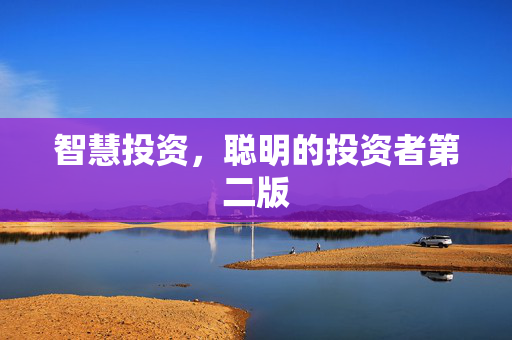 智慧投资，聪明的投资者第二版