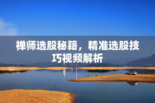 禅师选股秘籍，精准选股技巧视频解析