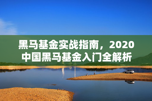 黑马基金实战指南，2020中国黑马基金入门全解析