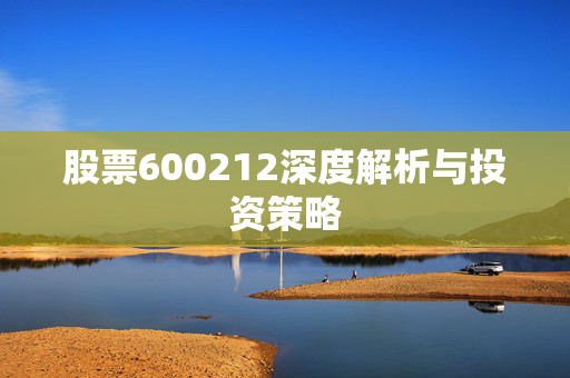 股票600212深度解析与投资策略