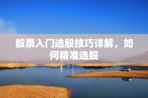 股票入门选股技巧详解，如何精准选股