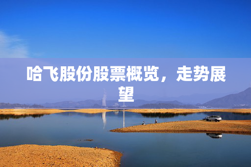 哈飞股份股票概览，走势展望