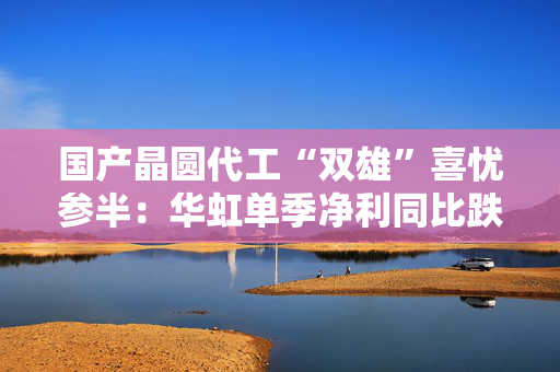 国产晶圆代工“双雄”喜忧参半：华虹单季净利同比跌近9成，中芯国际大涨166.5%