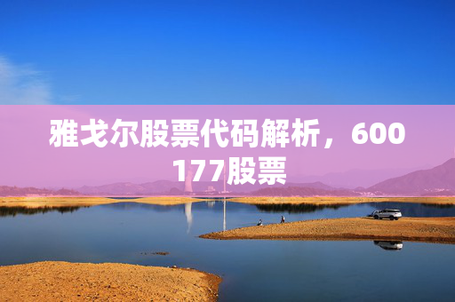 雅戈尔股票代码解析，600177股票