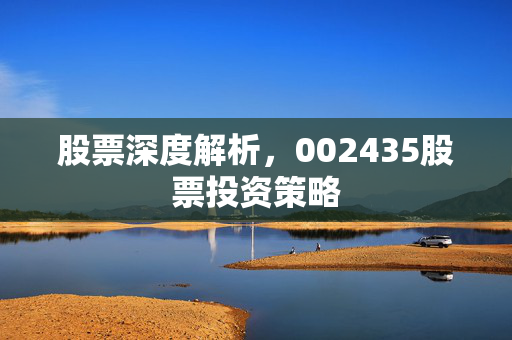股票深度解析，002435股票投资策略