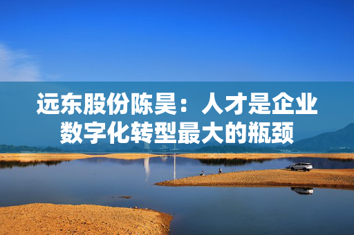 远东股份陈昊：人才是企业数字化转型最大的瓶颈