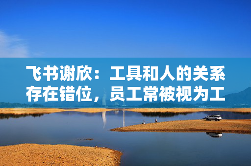 飞书谢欣：工具和人的关系存在错位，员工常被视为工具的附属