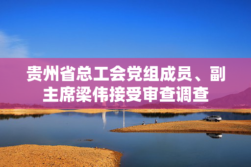 贵州省总工会党组成员、副主席梁伟接受审查调查